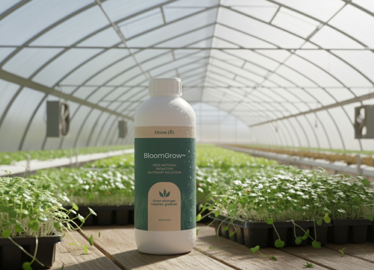 BloomGrow 1 L bottle, microbial bio-stimulant for microgreens, in a greenhouse with microgreen trays